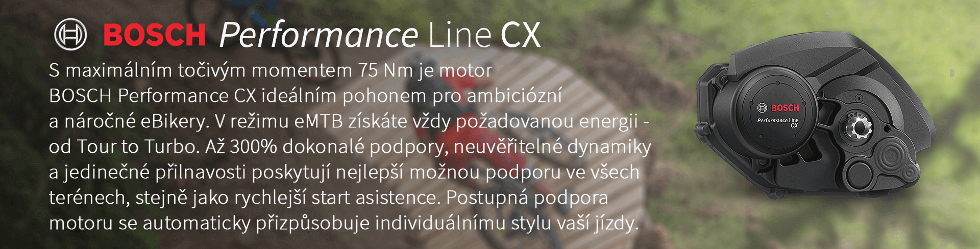 Sportovní BOSCH Performance Line je ideální volbou pro ambiciózní eBikery. Vysoce vyvážený, vysoce výkonný systém s maximálním kroutícím momentem 63 Nm přemění jezdce na dobrodruha a poskytne požadovaný výkon kdykoli. Vyzkoušejte ještě více zábavy v sedle s motorovou jednotkou Bosch Cruise Drive.