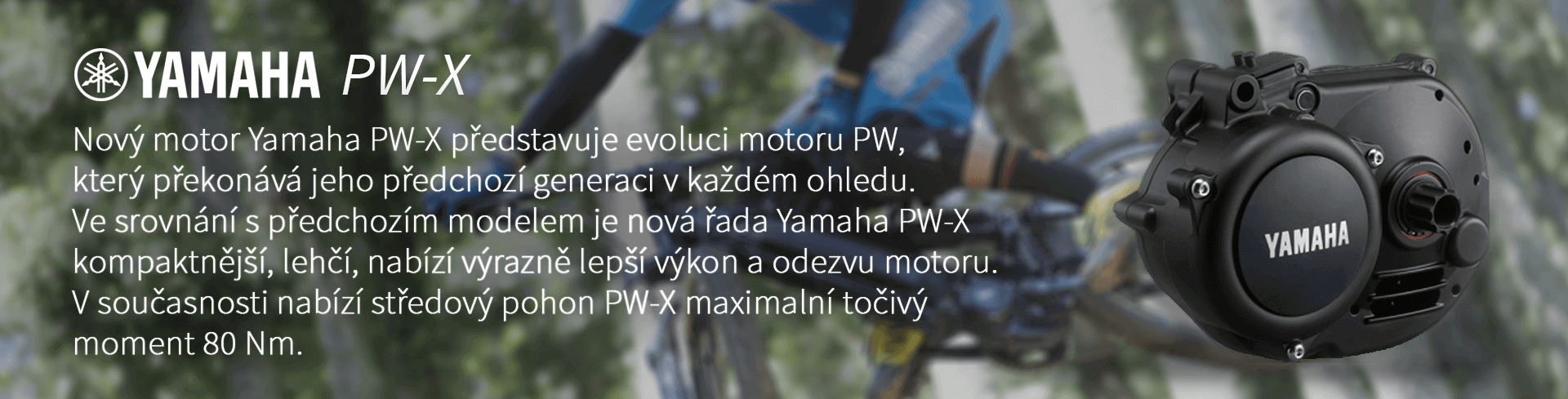 Nový motor Yamaha PW-X představuje evoluci motoru PW,  který překonává jeho předchozí generaci v každém ohledu.  Ve srovnání s předchozím modelem je nová řada Yamaha PW-X  kompaktnější, lehčí, nabízí výrazně lepší výkon a odezvu motoru.  V současnosti nabízí středový pohon PW-X maximalní točivý  moment 80 Nm.