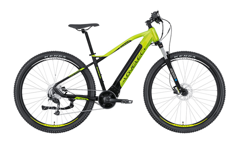 LOVELEC Sargo Green